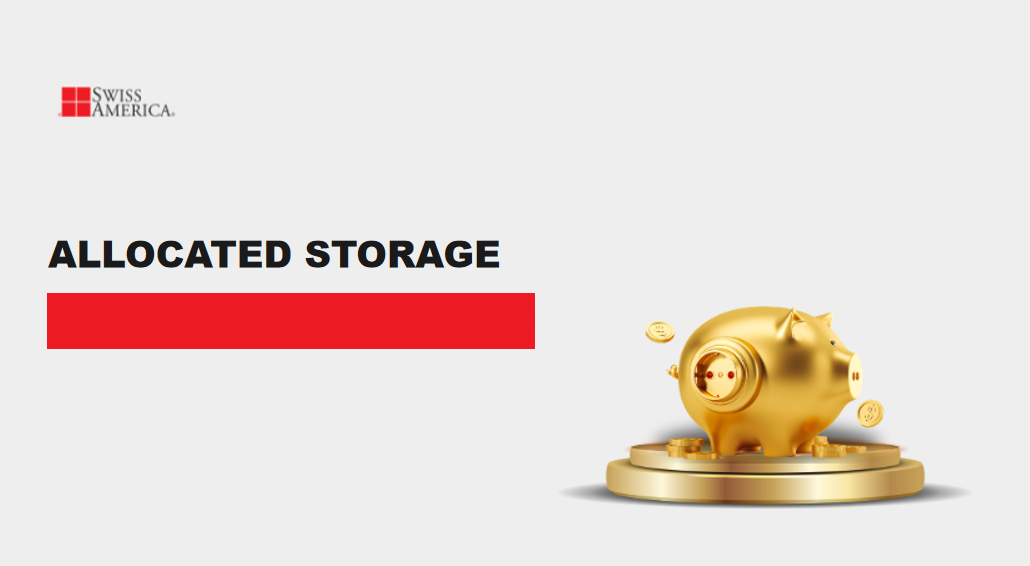 allocated storage